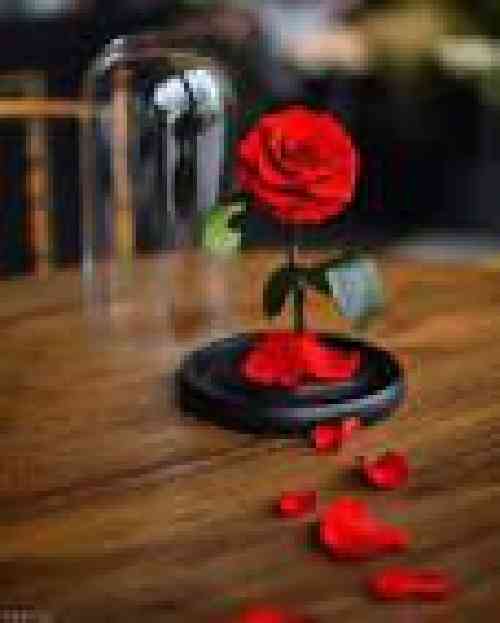  عین آدم برفی آب شدی از یادم رفتی